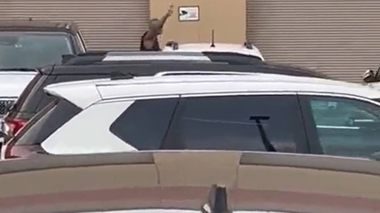 Großes Comeback bei WWE?