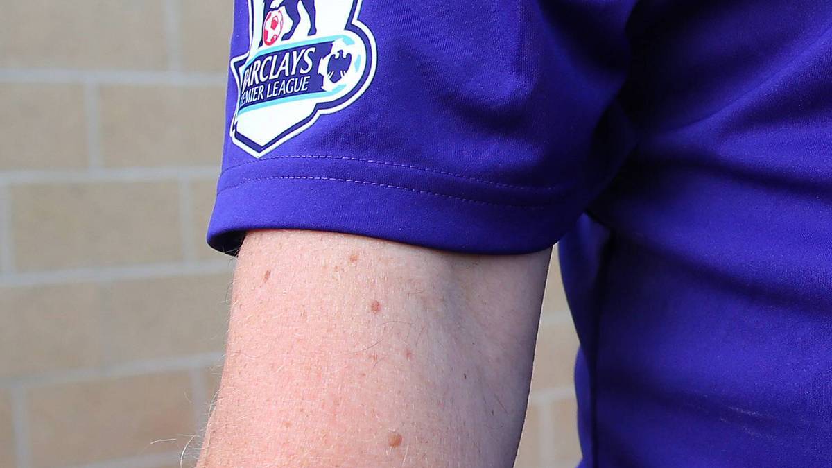 Swansea City ist einer der kleinsten Vereine der Premier League. Aber auch hier gibt es eine starke Fanbase. Mit Schwan auf dem Unterarm zeigt dieser Fan, wofür sein Herz schlägt  