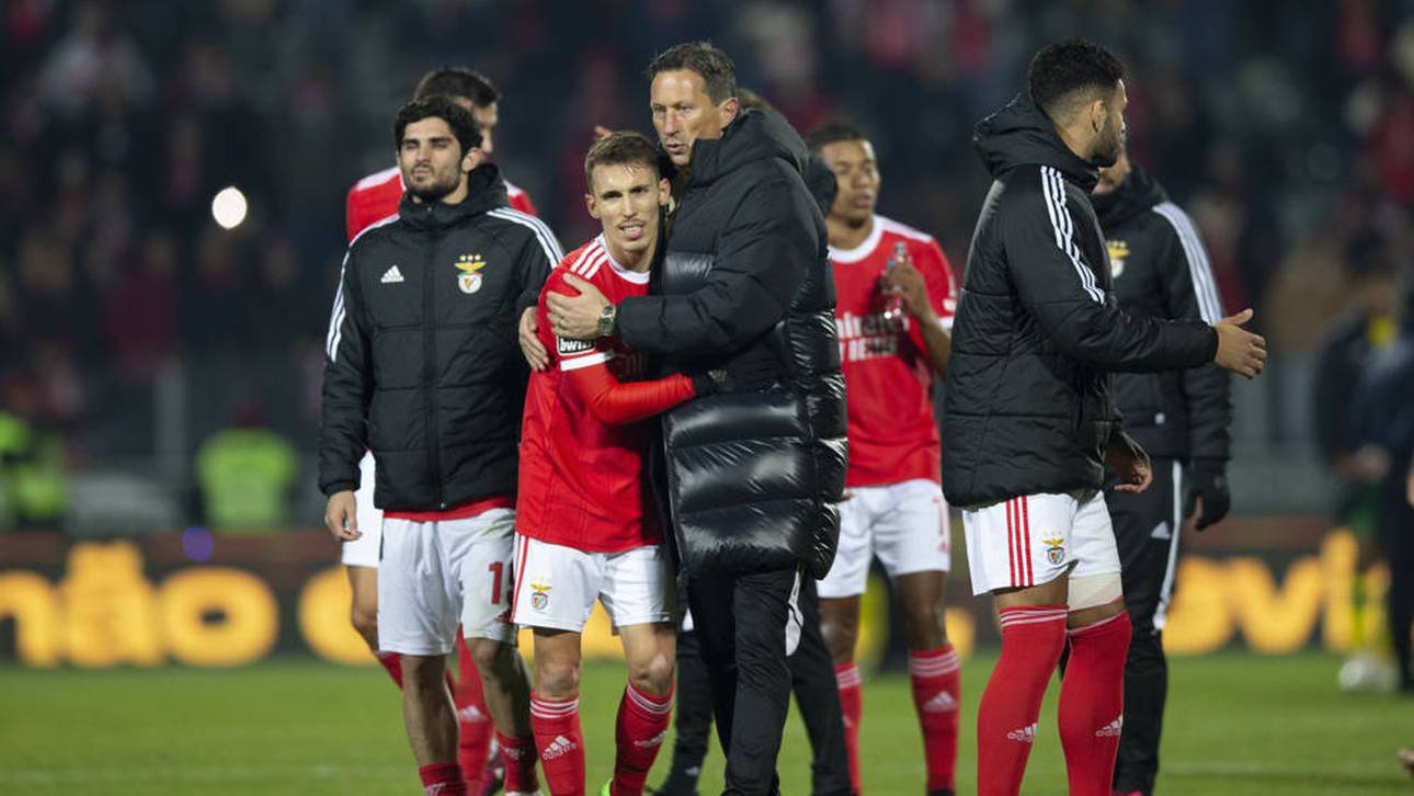 Alejandro Grimaldo spricht in höchsten Tönen von Roger Schmidt