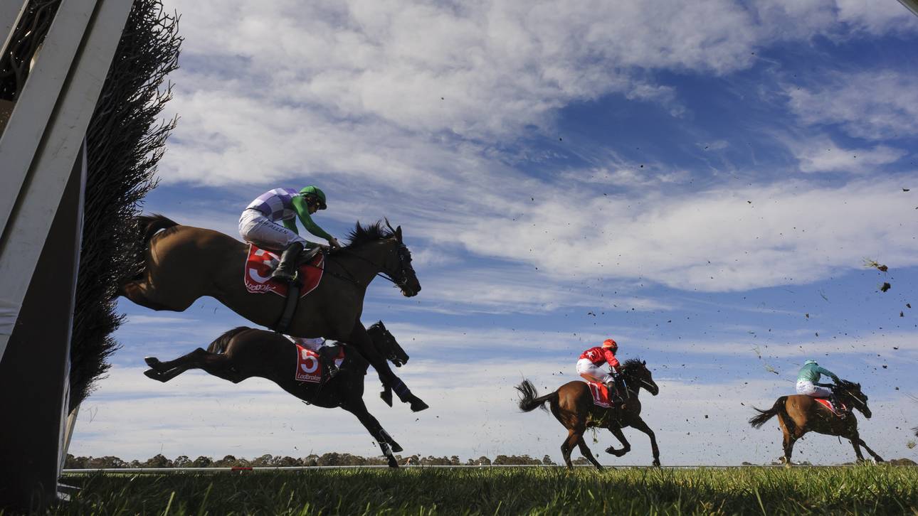 Reit-Skandal: Verband reagiert