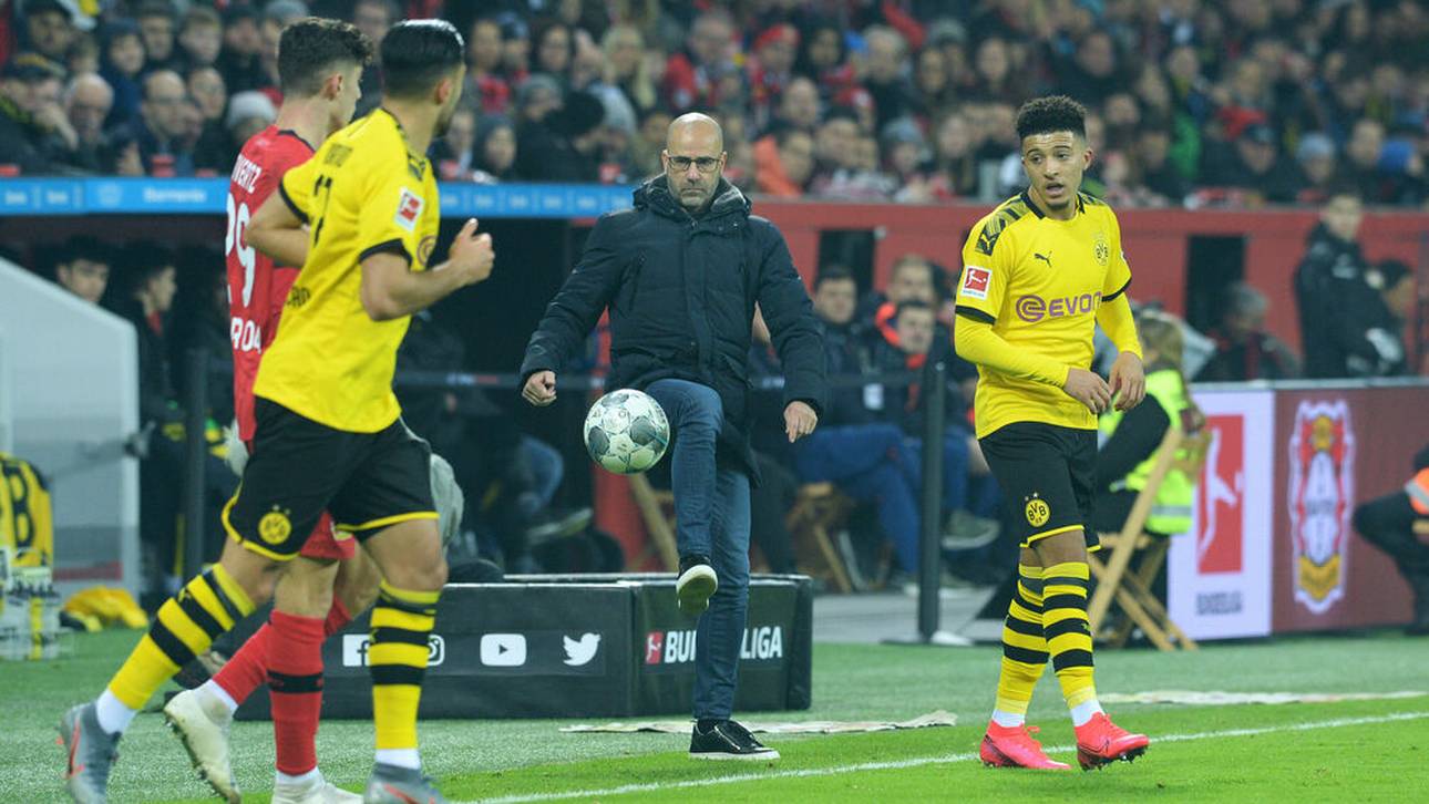Peter Bosz trainierte sowohl den BVB als auch Bayer Leverkusen