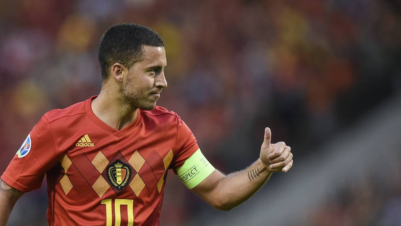 Real plant große Hazard-Vorstellung