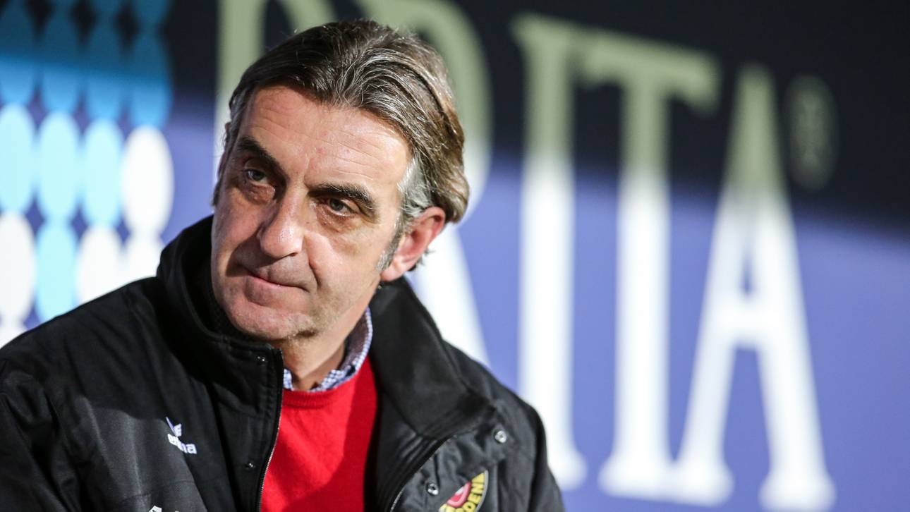 Baumsturz: Dynamo entgeht Tragödie