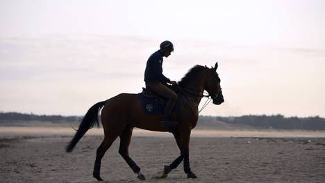 Reiter Maxime Livio auf seinem Pferd Qalao des Mers