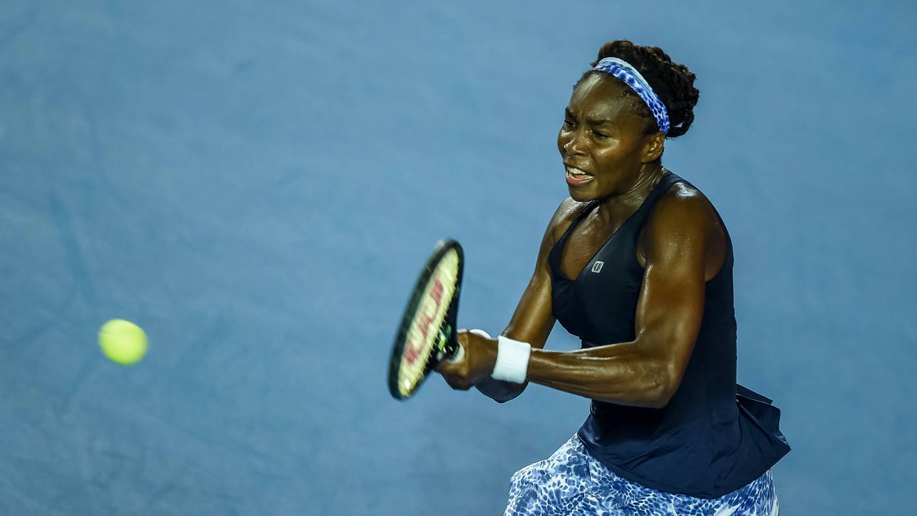 Williams und Pliskova im Halbfinale