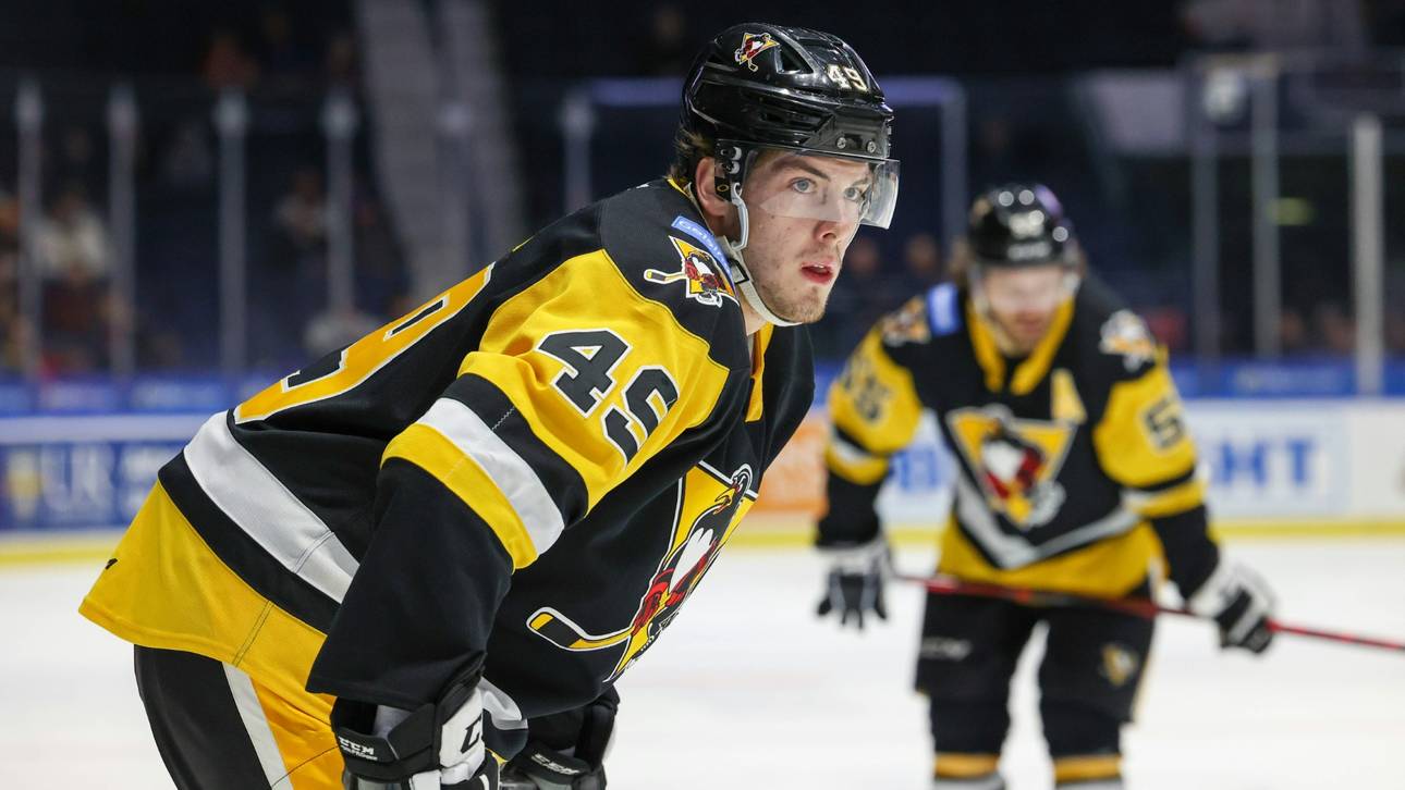 Löwen reagieren auf Liga-Fehlstart