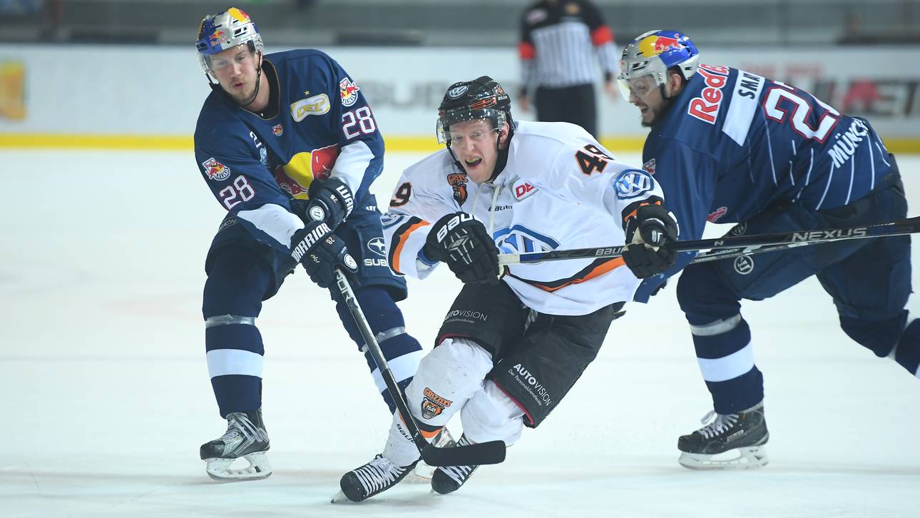 Grizzlys entnerven Meister München