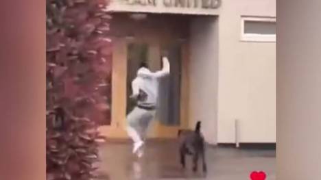 West Ham-Star Maxwell Cornet wird vom Hund eines Mitspielers vor dem Trainingsgelände gejagt. Seine Teamkollegen machen sich einen Spaß draus.