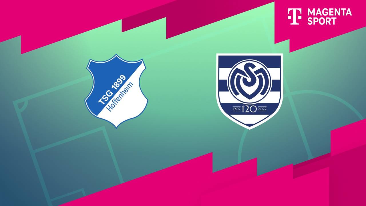 TSG Hoffenheim - MSV Duisburg (Highlights)