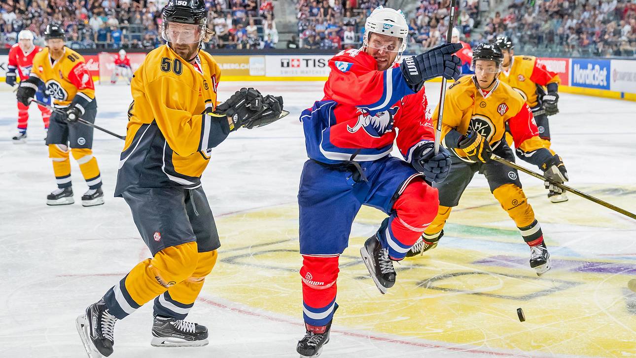 Adler verletzt sich beim Prügeln