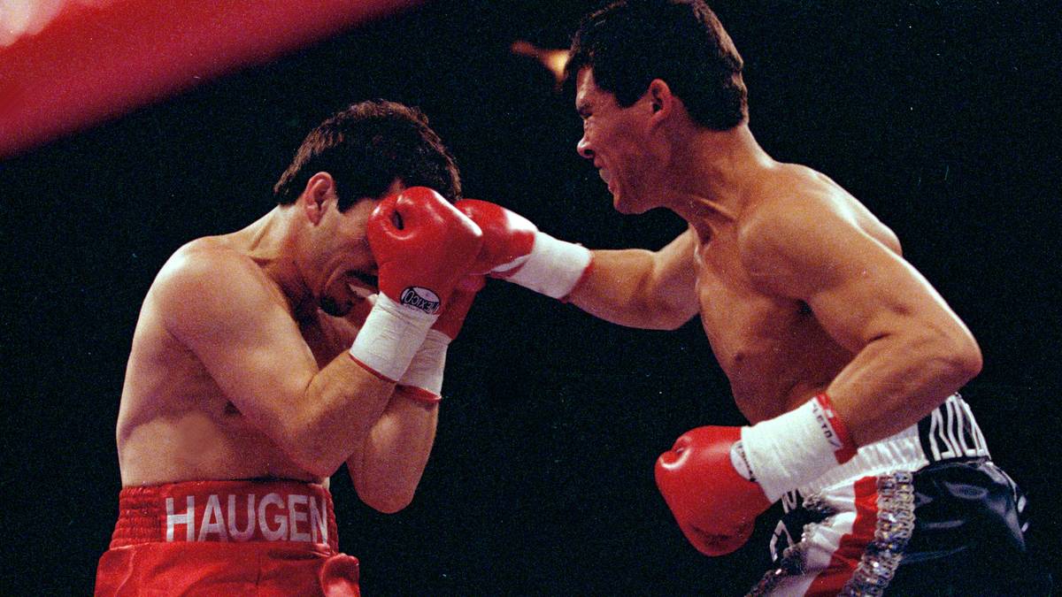 RANG 3 - Chavez vs. Haugen, 132.000 Zuschauer. Julio Cesar Chavez (r.) begeisterte sein Heimpublikum im Aztekenstadion in Mexico City. Mit einem Technischen K.o. schlug er Greg Haugen am 20. Februar 1993 in der fünften Runde