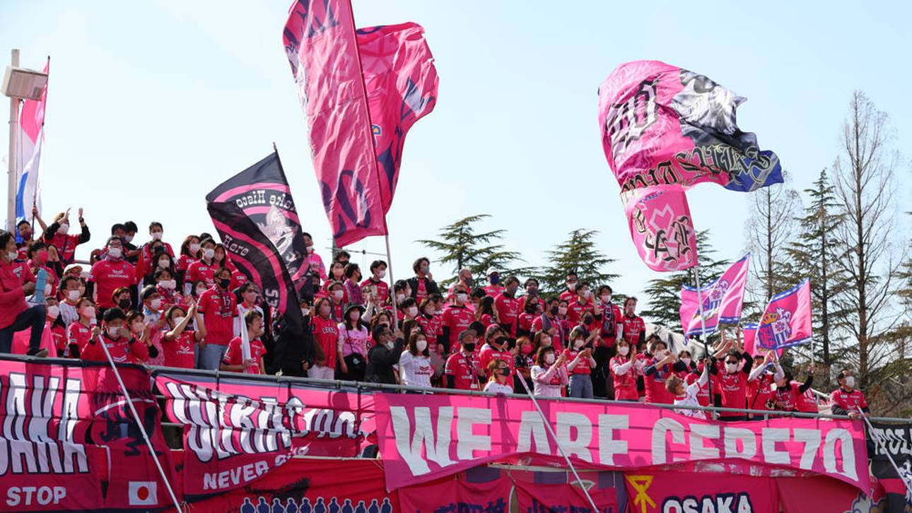 Fans feiern mit kuriosem VAR-Tanz