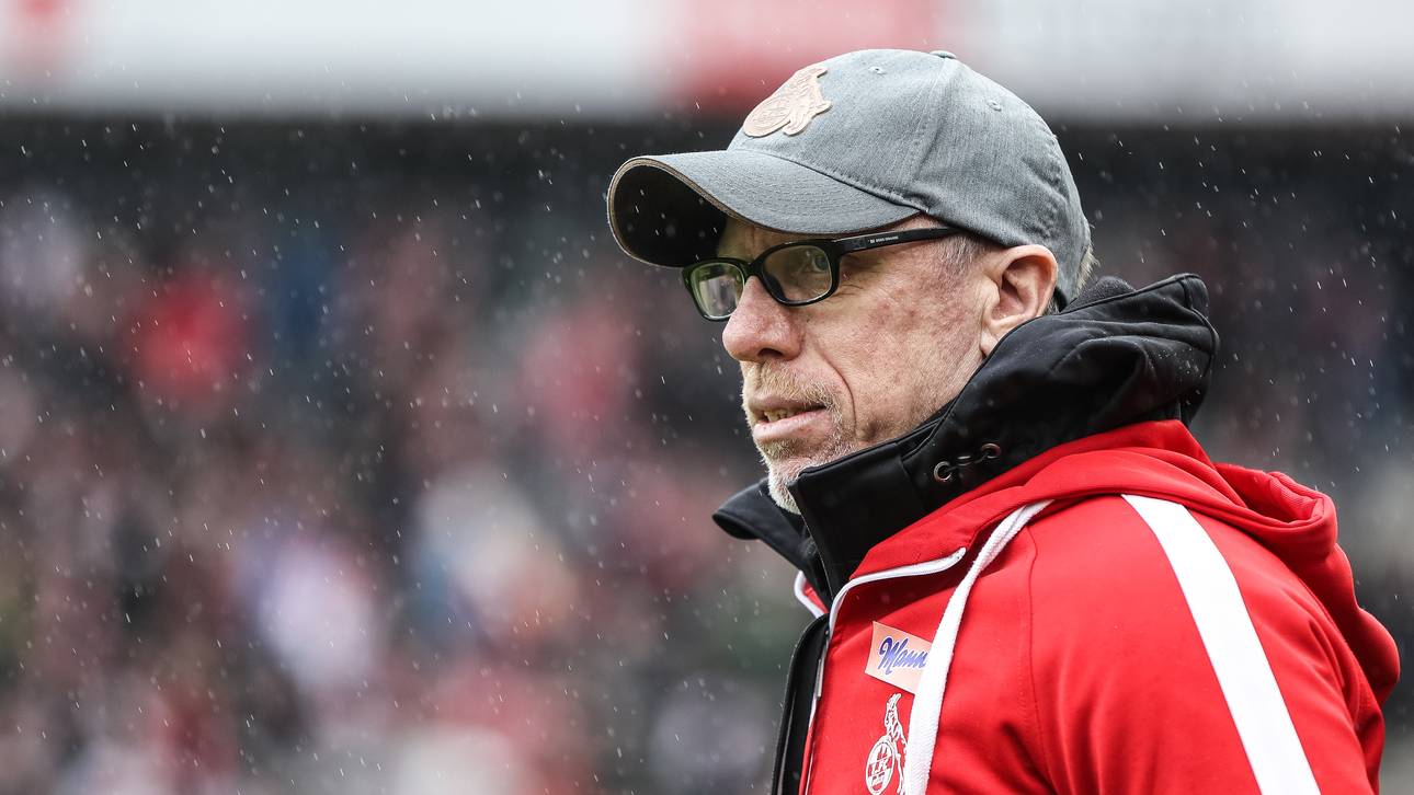 Stöger Kölns neuer Rekord-Trainer