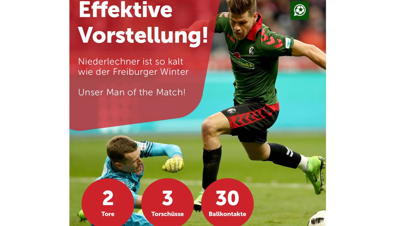 Niederlechner