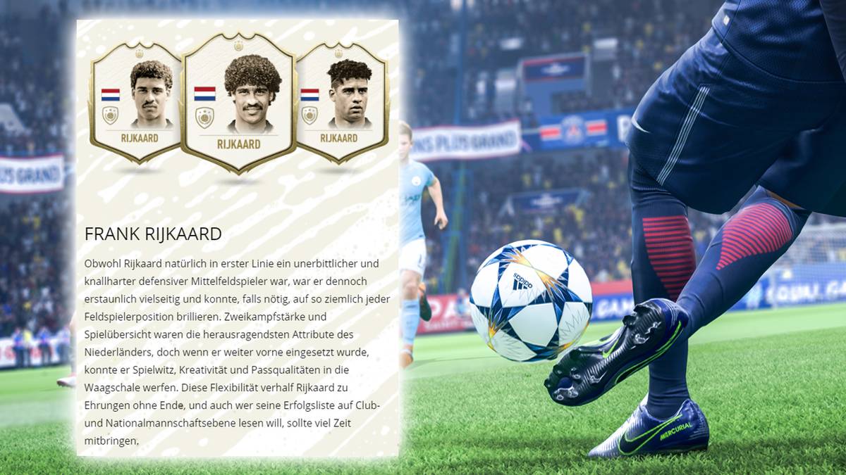 ZDM: Frank Rijkaard (Niederlande)