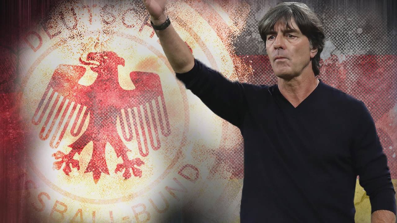 Löw zu Rücktritt vor der EM