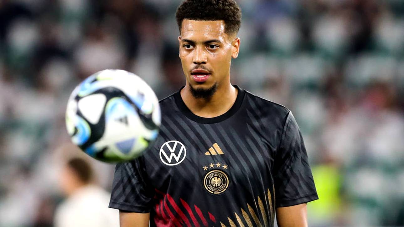 Erstaunliche These zu Nmecha