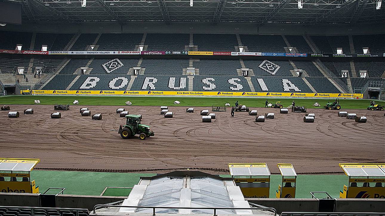 Neuer Rasen für die „Fohlen“