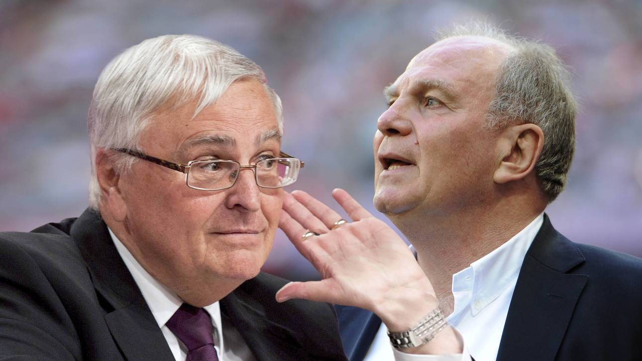 Ziemlich beste Feinde