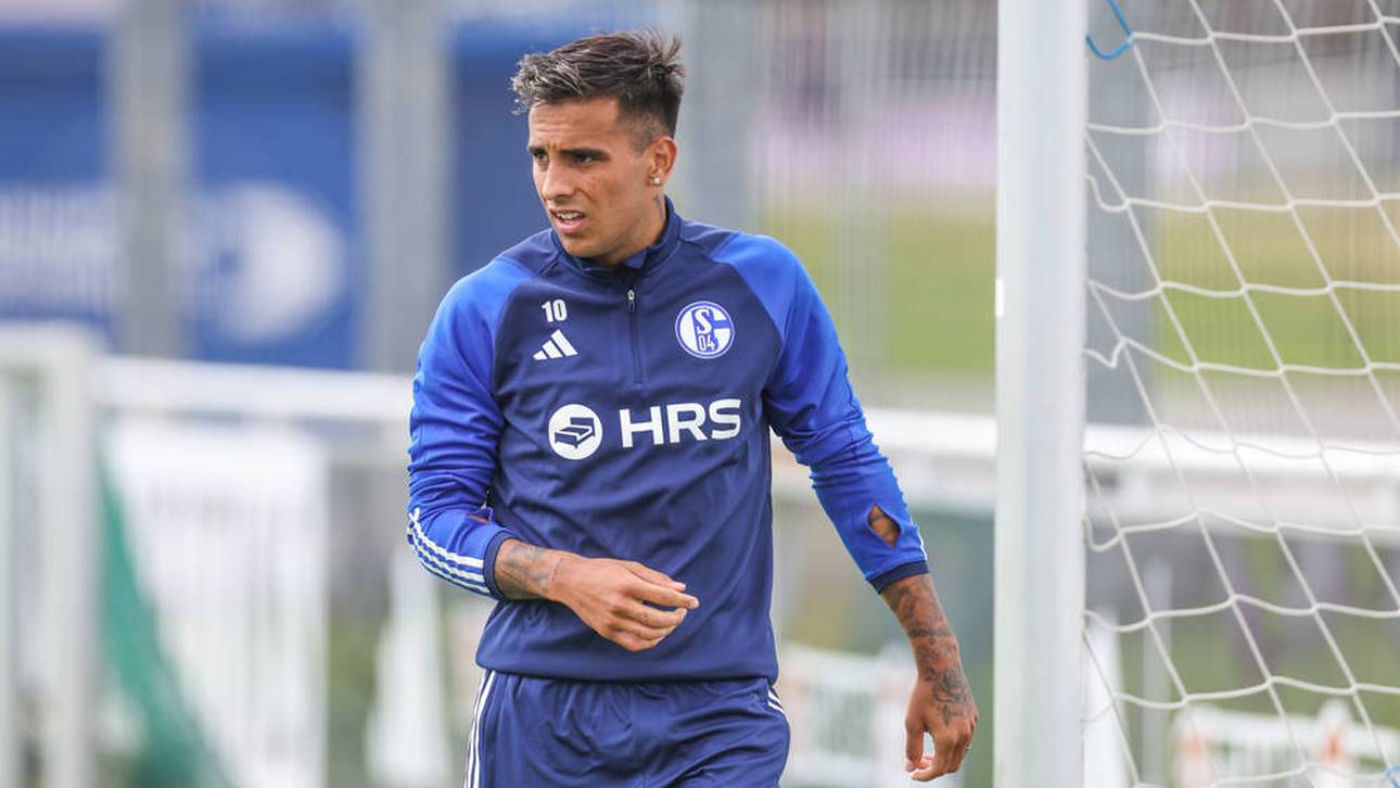 S04-Transfer freut auch Frankfurt