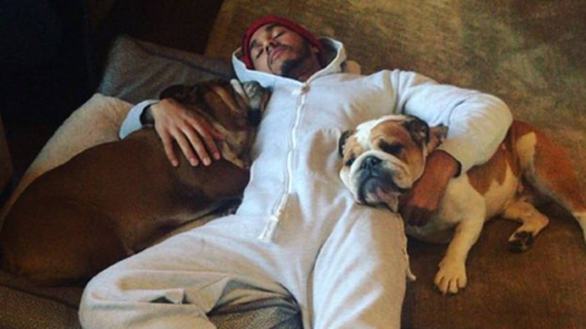 Formel-1-Weltmeister Lewis Hamilton geht den Weihnachtsstress ruhig an und gönnt sich ein Nickerchen mit seinen Hunden