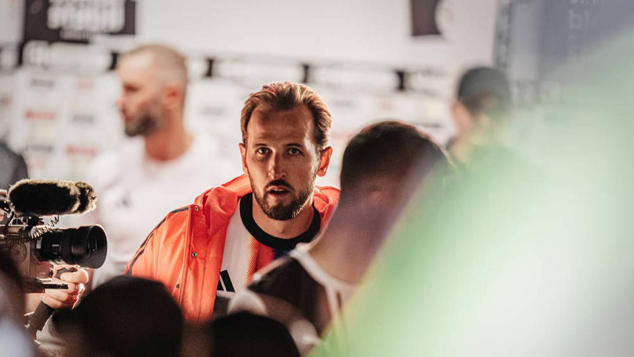 Spannende Details zu Kane