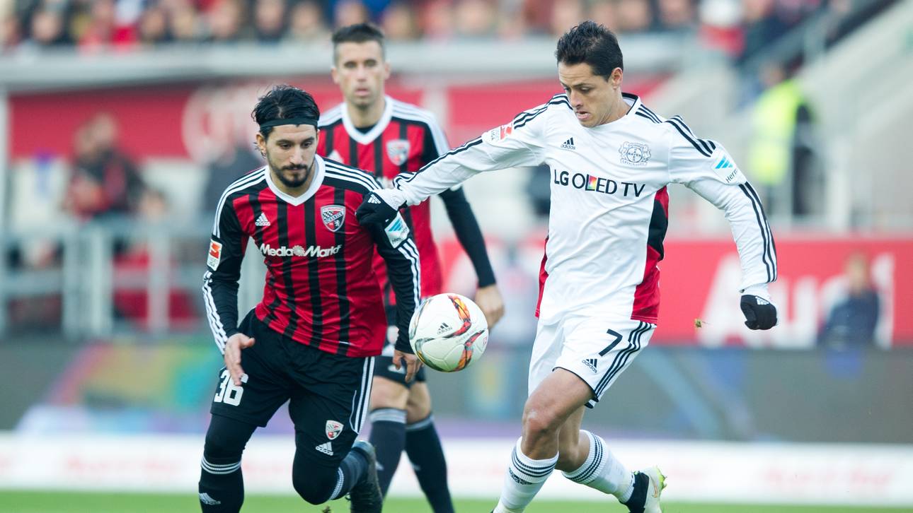 Ingolstadt verlängert mit Cohen