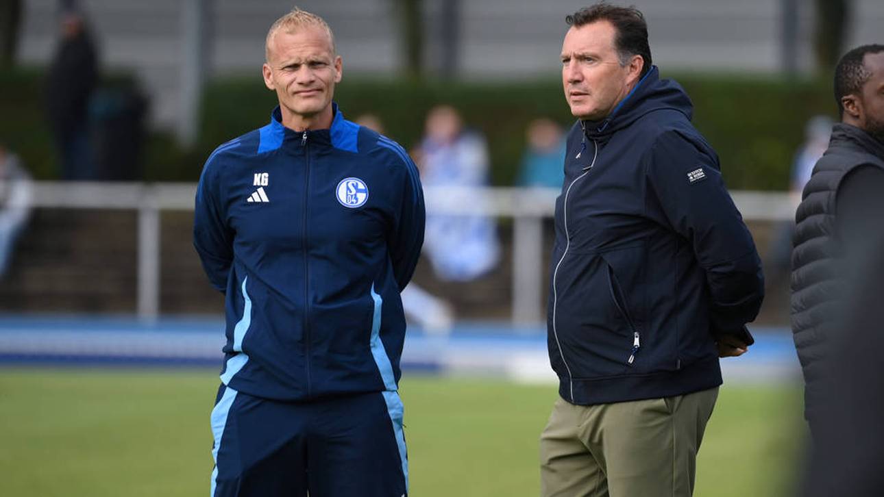 Trainer Karel Geraerts (l.) und Sportdirektor Marc Wilmots wurden vom FC Schalke 04 freigestellt