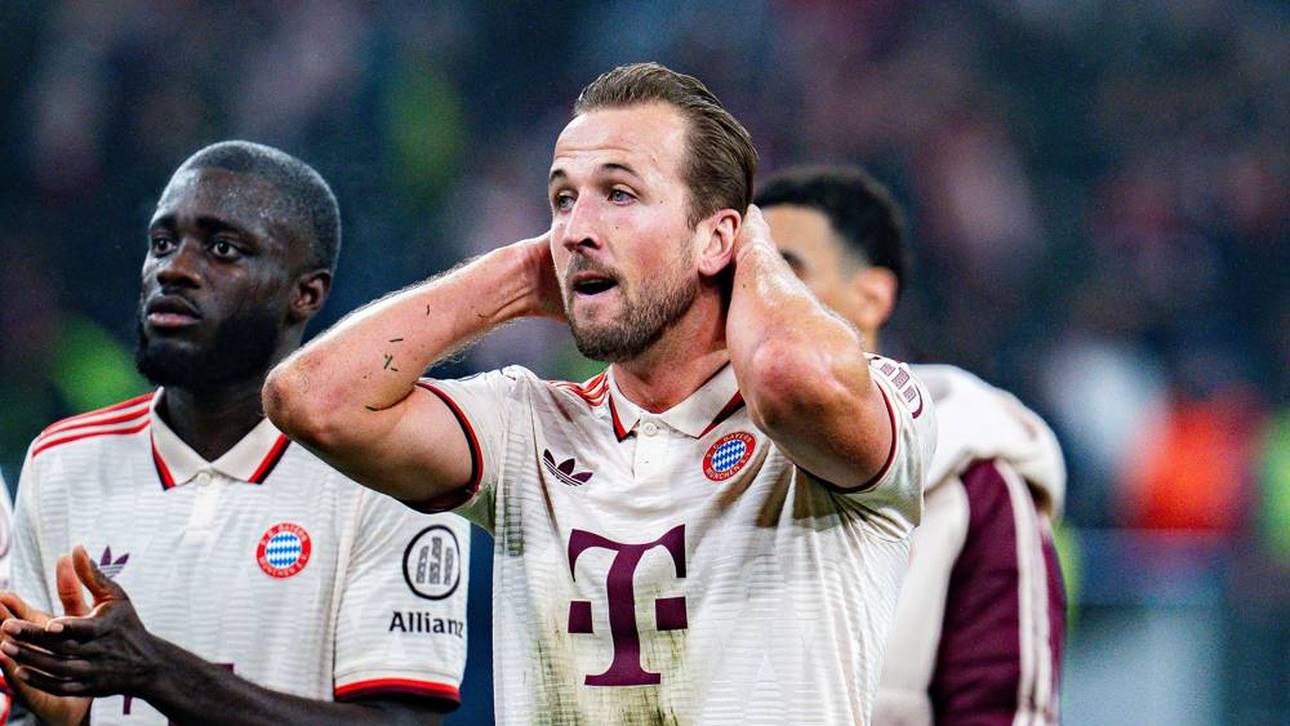 Kane-Erbe: Empfehlung für Bayern