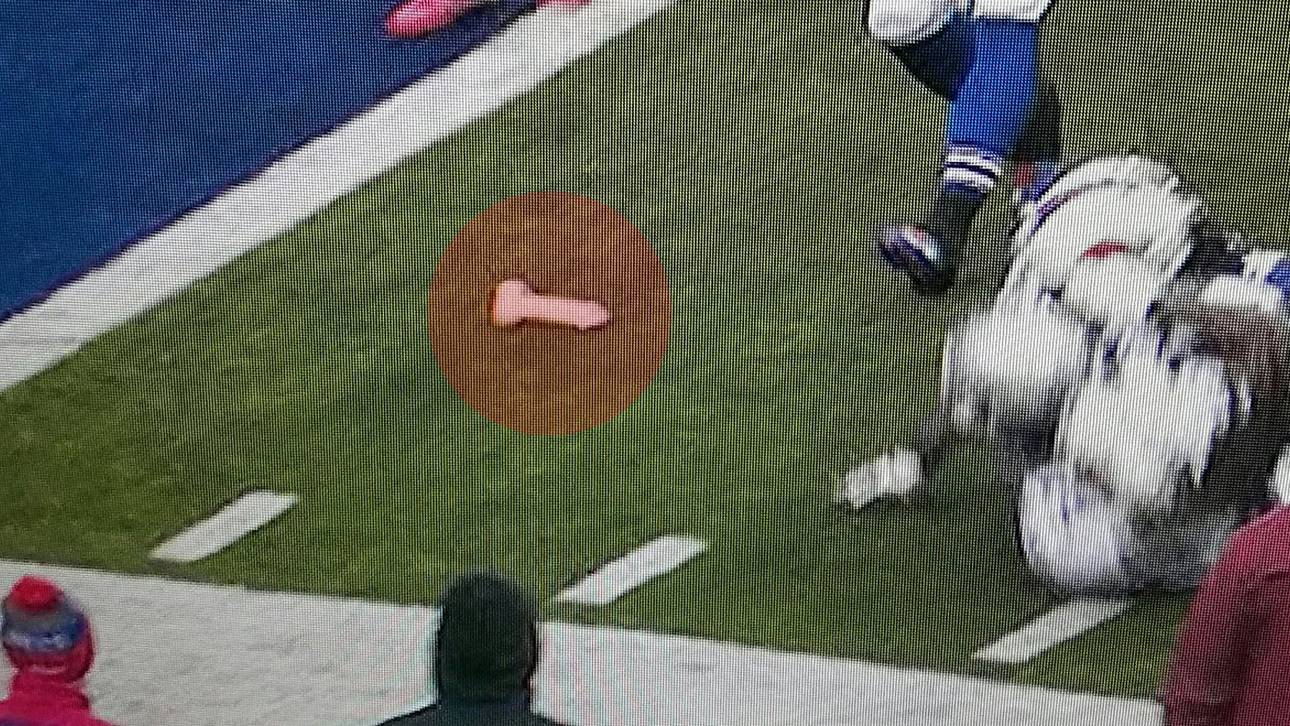 Fan wirft Dildo nach Brady und Co.