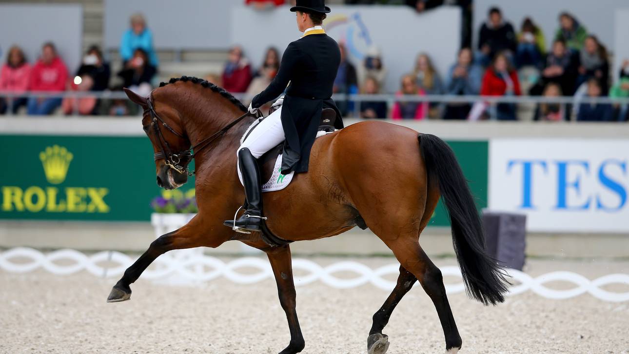 Dressur-Team holt Nationenpreis