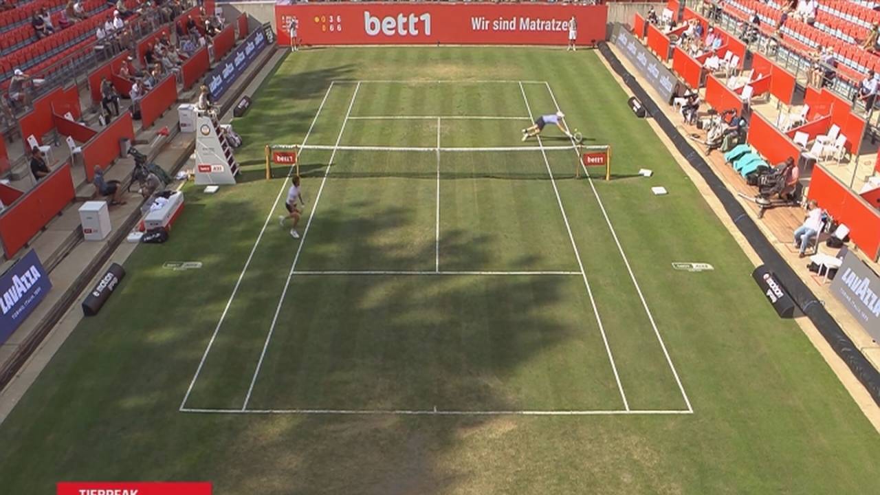 Thiem steht im Finale von Berlin