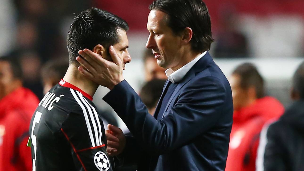 Schmidt bezweifelt Zukunft für Spahic