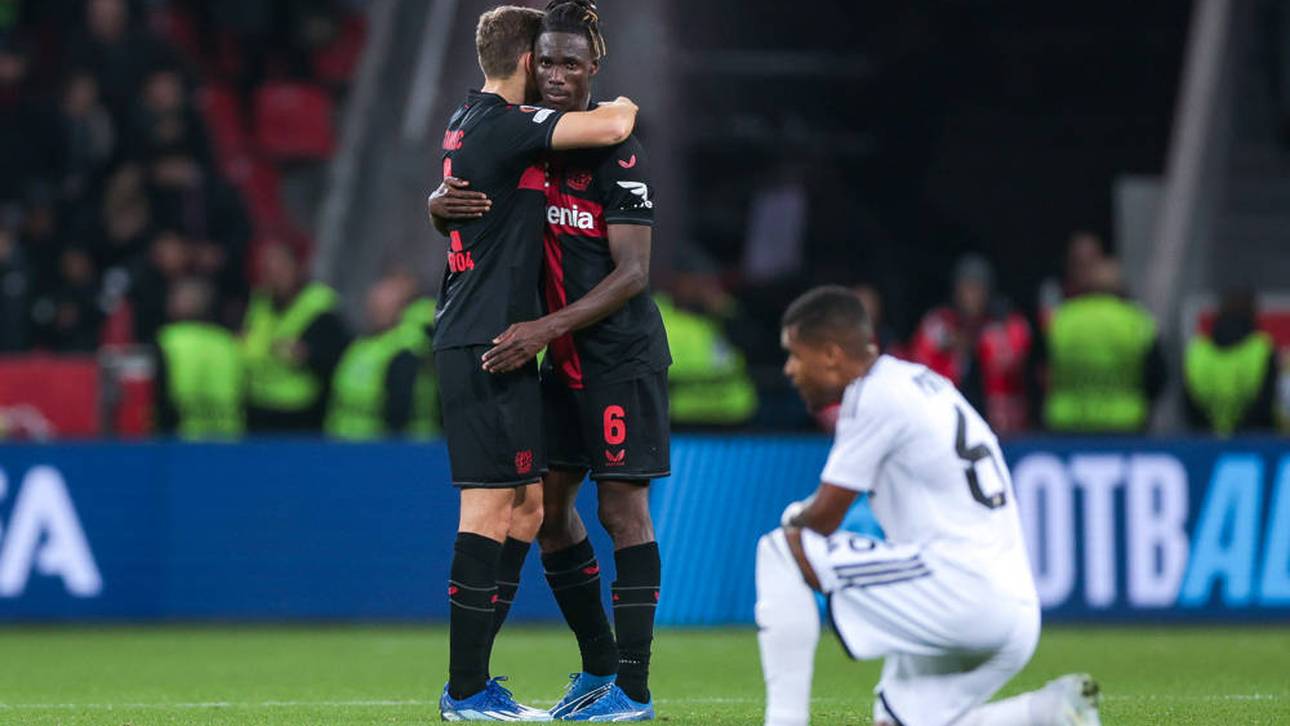 Das Sinnbild des Bayer-Booms