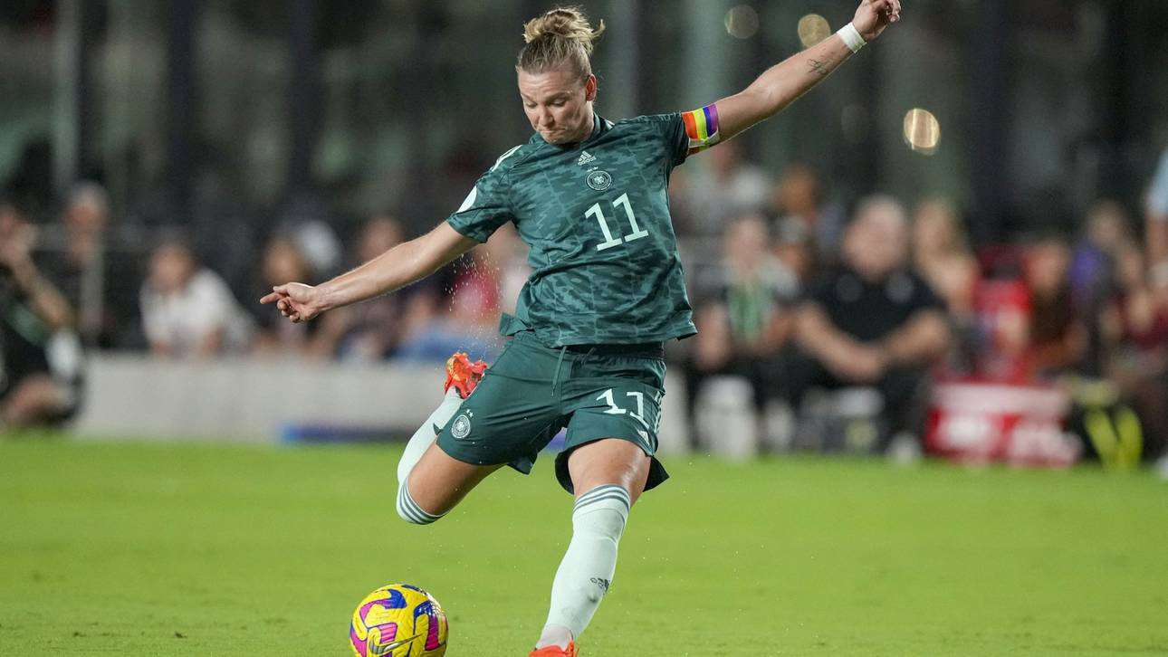 Popp plant mit Regenbogenbinde