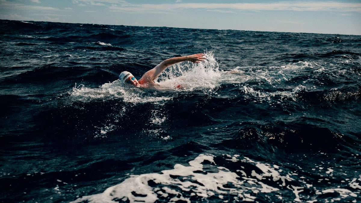 Extremsport: Waschburger schwimmt Weltrekord im Kaiwi-Kanal