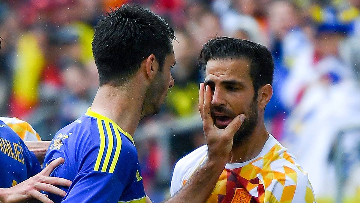 EMIR SPAHIC: Der bosnische Verteidiger fiel immer wieder durch seine unfaire Spielweise auf. In seiner Leverkusener Zeit streckte Spahic einem Ordner des eigenen Vereins mit einem Kopfstoß nieder und flog dafür raus. Heute ist der 37-Jährige vereinslos