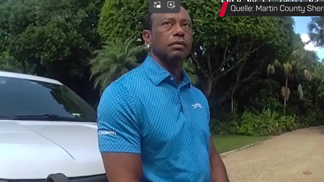 Brisante Akten im Tiger-Woods-Fall sorgen für Aufsehen