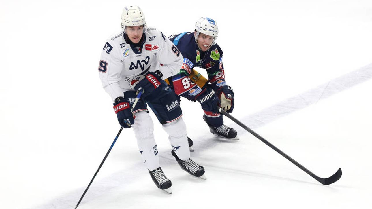 DEB-Quartett sagt für WM ab