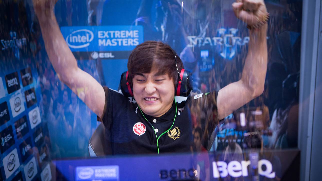 Flash hängt die Maus an den Nagel