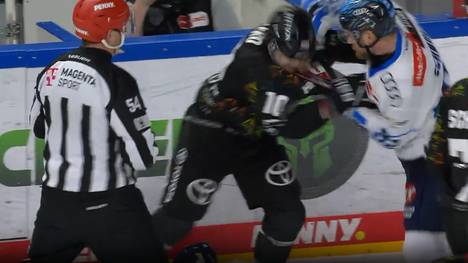 Kölner Haie - ERC Ingolstadt: Tore und Highlights | PENNY DEL