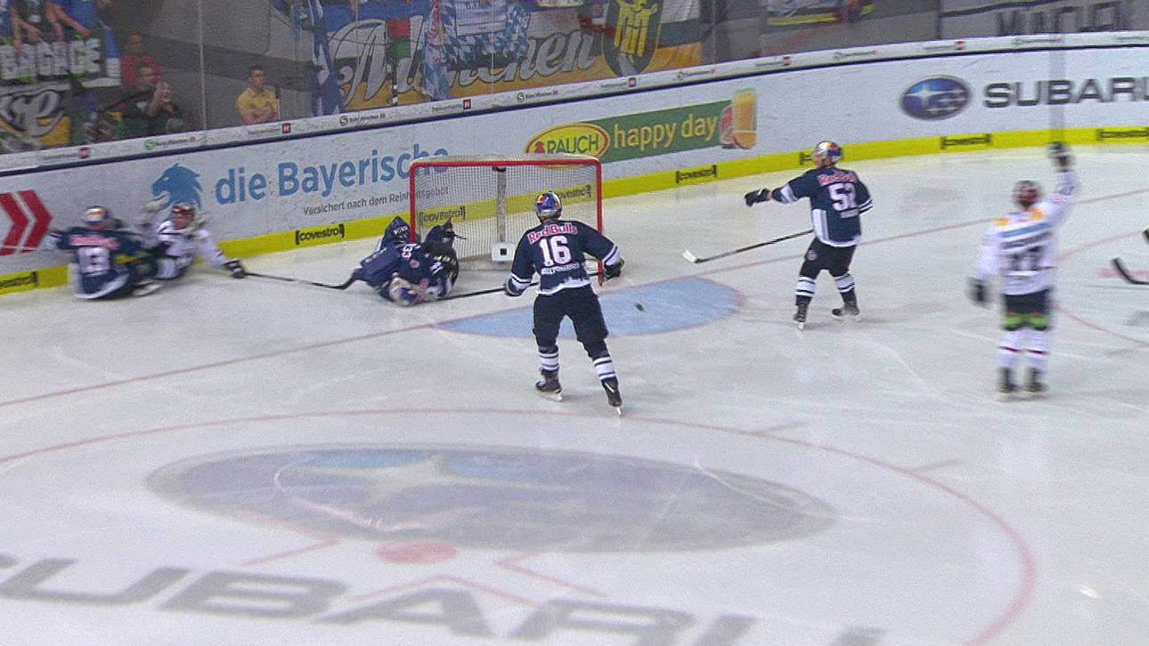 Eisbären träumen vom DEL-Wunder