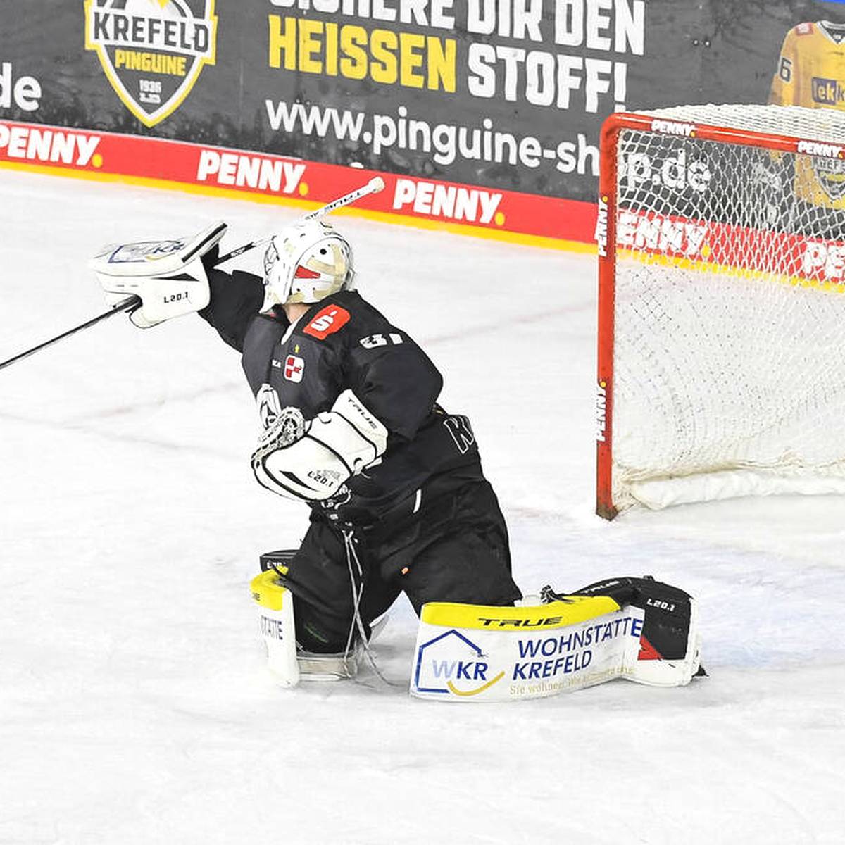 Eishockey, DEL Krefeld Pinguine stürzen schon wieder ins Chaos