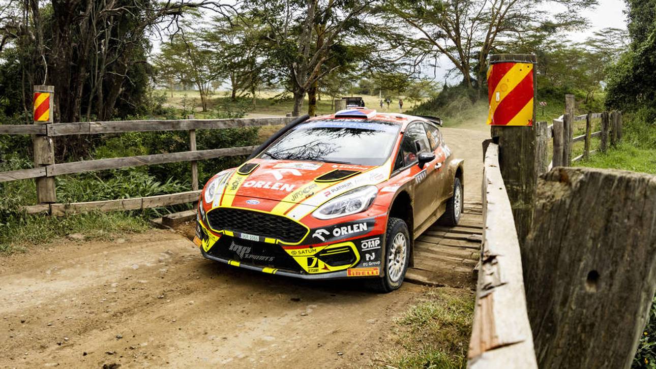 Zebra bremst Rallye-Weltmeister aus