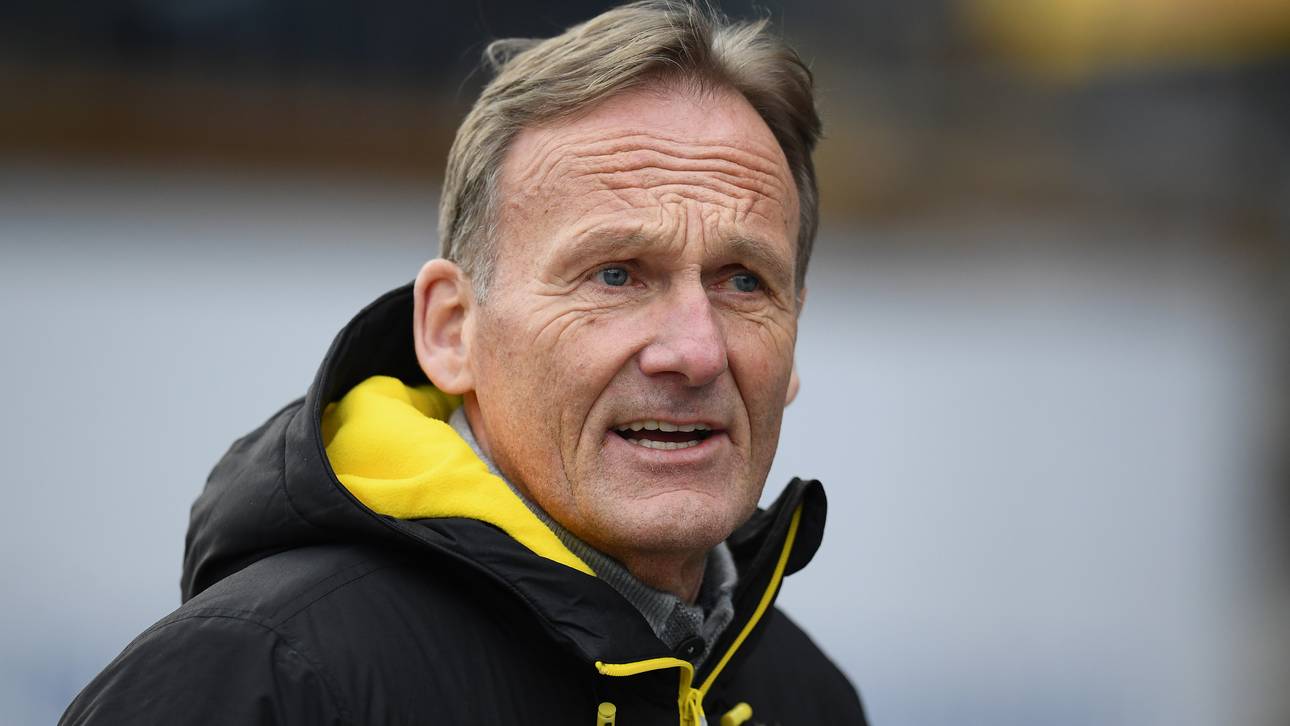 BVB-Boss Watzke lobt Hopp