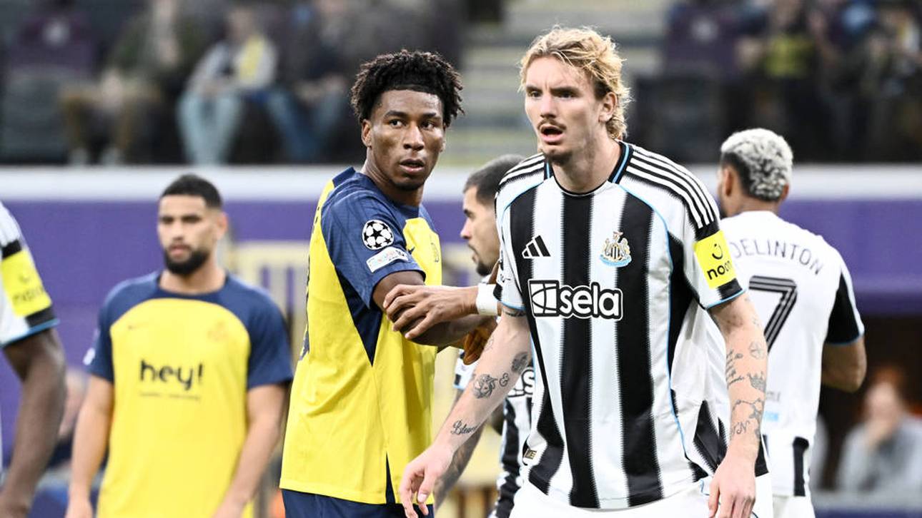 Viel Lob für starken Woltemade