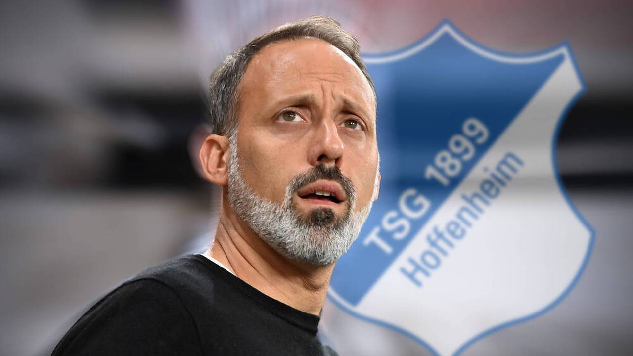 TSG Hoffenheim: Pellegrino Matarazzo wird neuer Cheftrainer