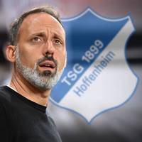 Hoffenheim findet neuen Trainer
