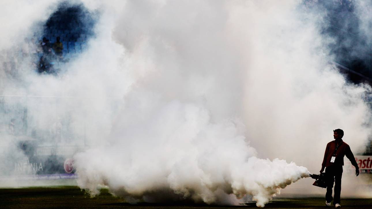 Rio wappnet sich gegen Moskitos