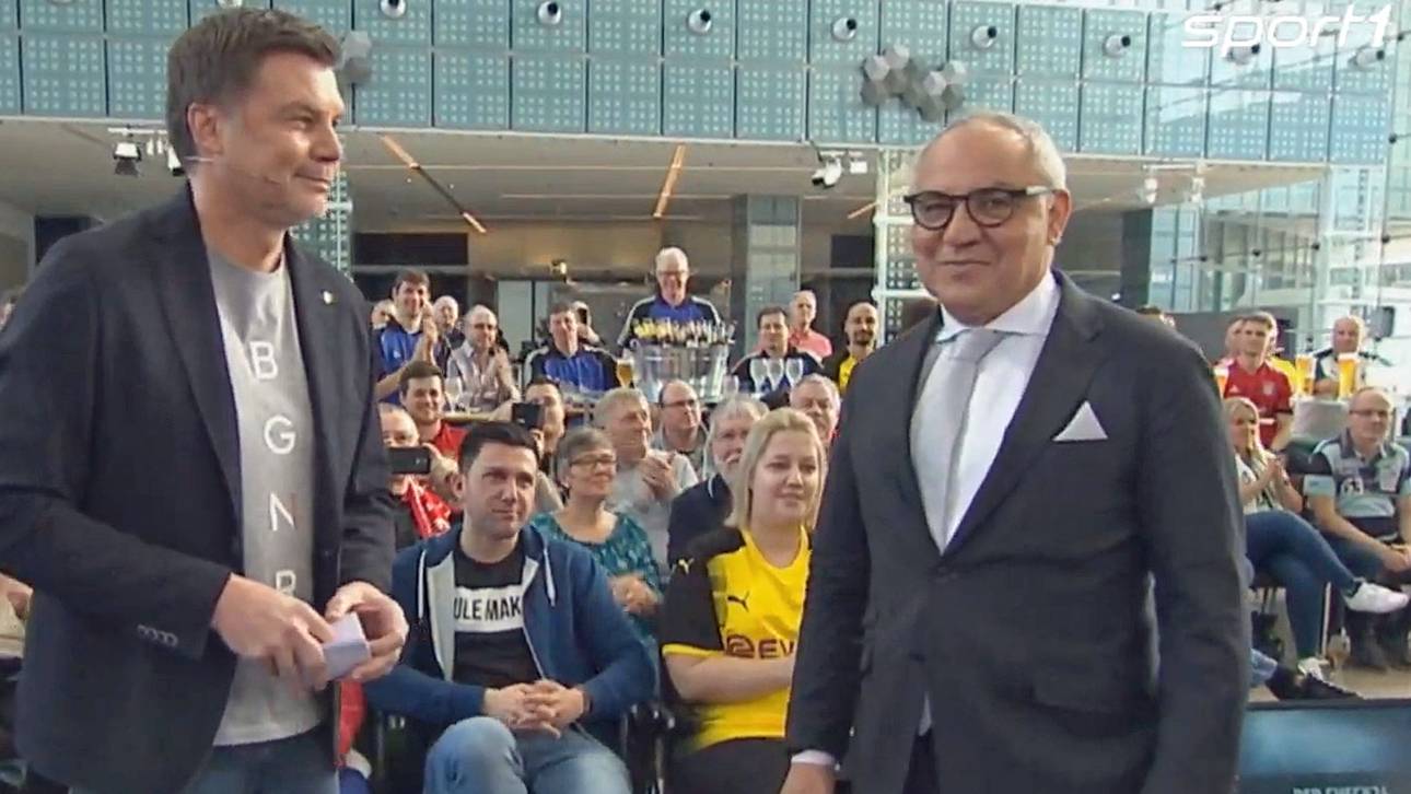 Magath traut Stevens S04-Rettung zu